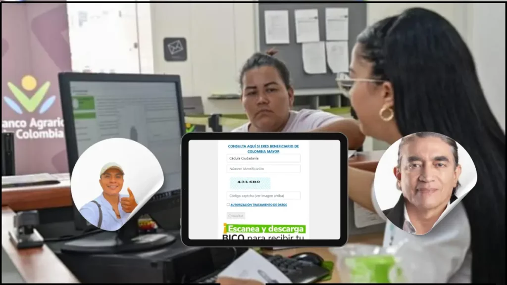 se llegaron los pagos de los subsidios 2025