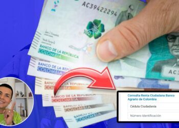 Pagos Renta Ciudadana y Devolución IVA