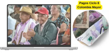 ciclo 8 colombia mayor